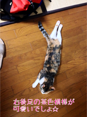 IMG_9021.png