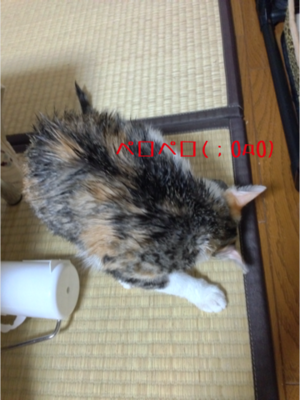 IMG_9358.png